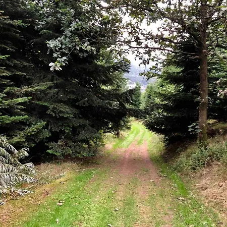 아파트 Ferienwohnung Waldblick Am Rothaarsteig *