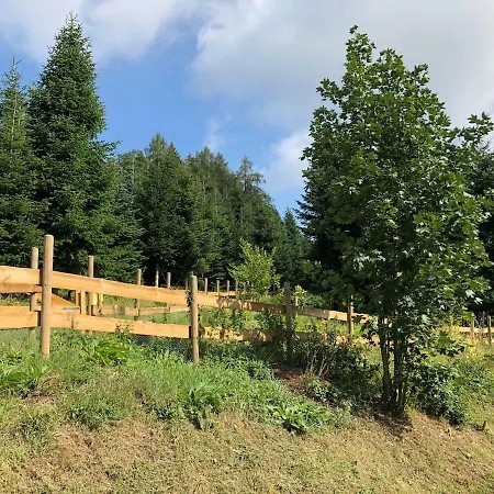Ferienwohnung Waldblick Am Rothaarsteig 아파트 *
